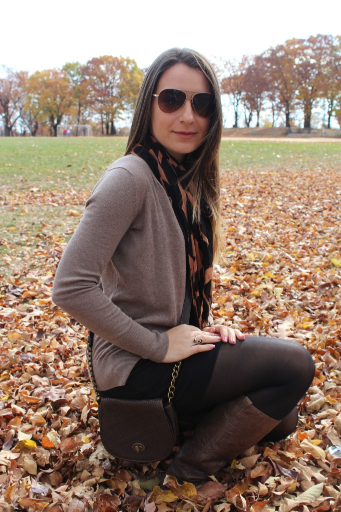 look of the day park 001