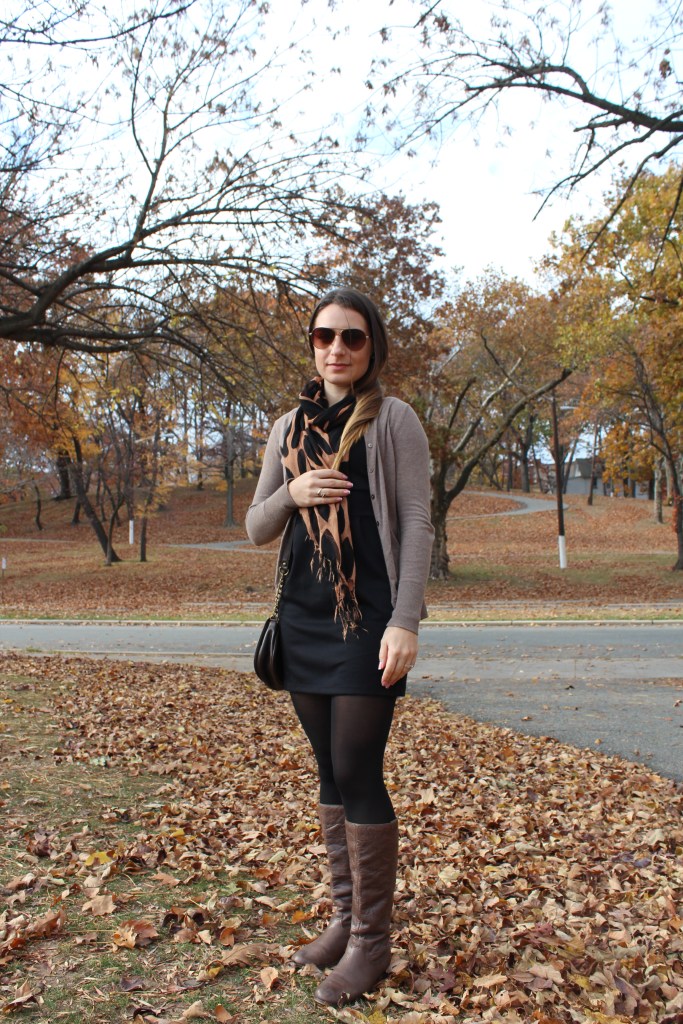 look of the day park 005