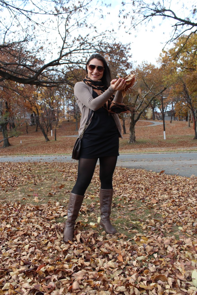 look of the day park 015-1